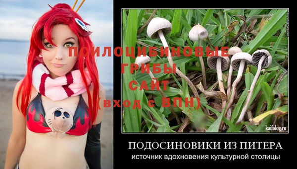 2c-b Кулебаки